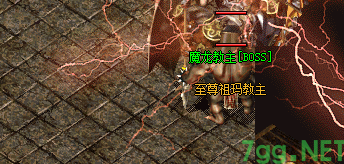 新开私服至尊怪