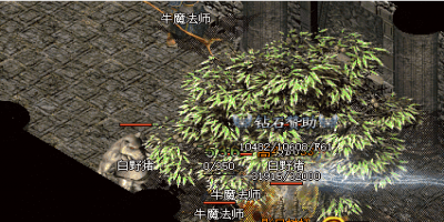 千年树妖爆震天是真的吗？