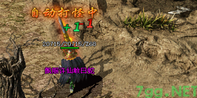 不能脱机挂的传奇sf能长久吗？网通传奇玩家说了大实话