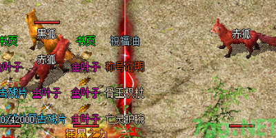 复古传奇怎么找靠谱队友？老玩家分享组队利益最
